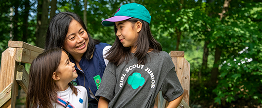 VolunteerCouncilPage_530x220